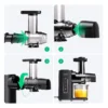 Cold Press Slow Juicer 2-Speed Quiet Motor