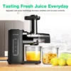 Cold Press Slow Juicer 2-Speed Quiet Motor