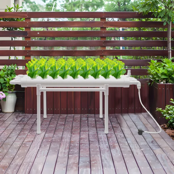 36-Hole Hydroponic Grow Kit Single Layer System