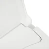 D-Shape Bidet Toilet Seat Dual Nozzle White