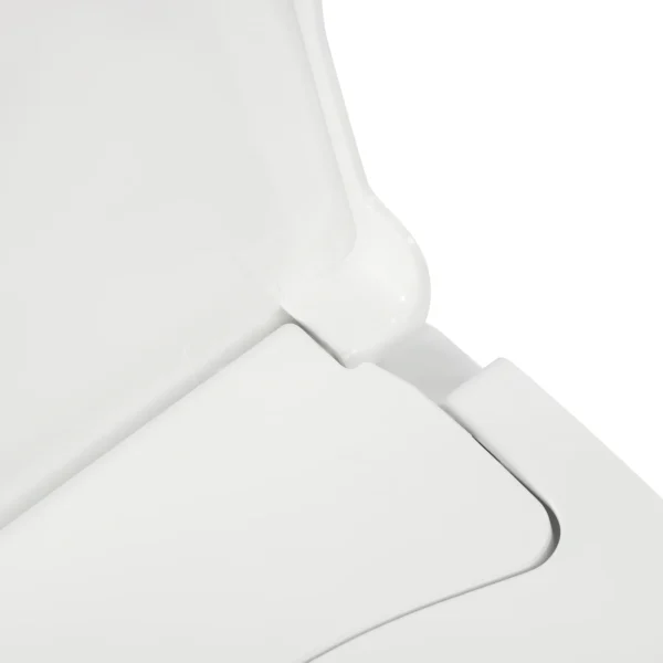 D-Shape Bidet Toilet Seat Dual Nozzle White