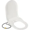 D-Shape Bidet Toilet Seat Dual Nozzle White