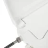 D-Shape Bidet Toilet Seat Dual Nozzle White