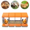 4 Compartment Chicken Nesting Box Eggs