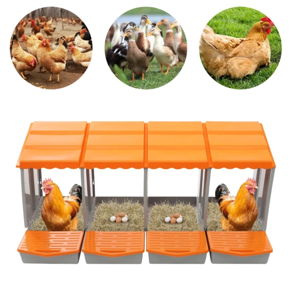 4 Compartment Chicken Nesting Box Eggs