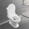 D-Shape Bidet Toilet Seat Dual Nozzle White