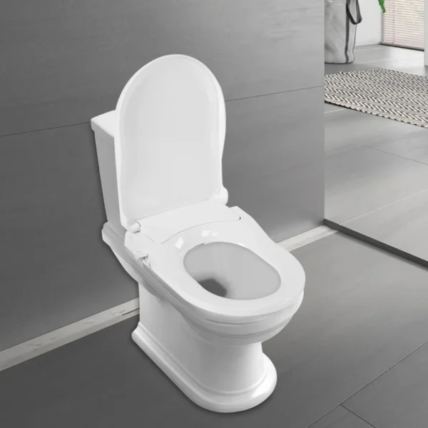 D-Shape Bidet Toilet Seat Dual Nozzle White