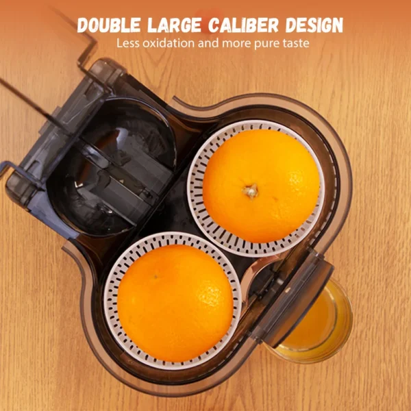 Portable 2in1 Juicer Blender 200W Double Head