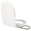 D-Shape Bidet Toilet Seat Dual Nozzle White