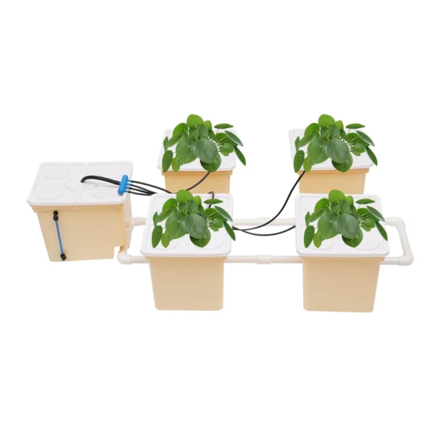 Hydroponic DWC System 4 Buckets w/ Pump