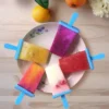 12 Grid Ice Cream Popsicle Mold DIY