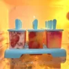 12 Grid Ice Cream Popsicle Mold DIY