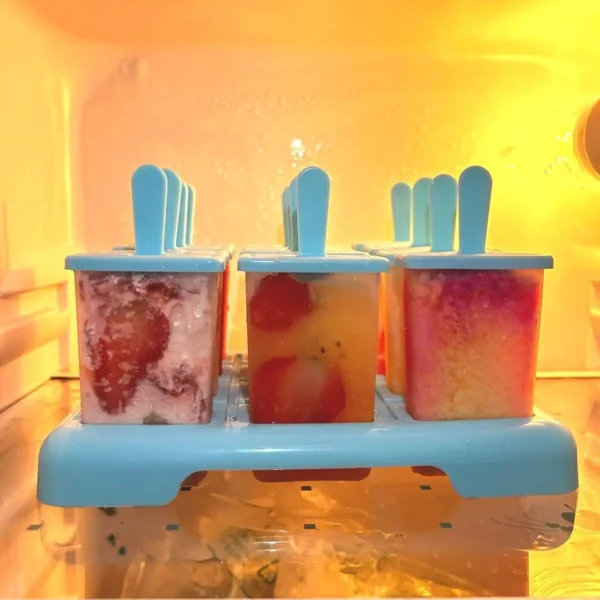 12 Grid Ice Cream Popsicle Mold DIY