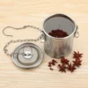 Stainless Steel Spice & Tea Infuser with Chain Hoo